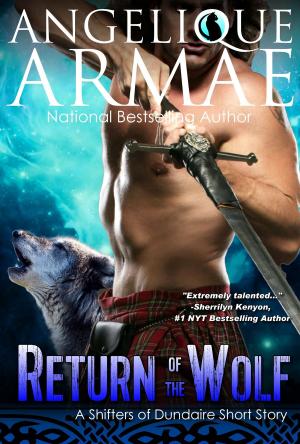 Cover of the book Return of the Wolf (Shifters of Dundaire 5) by Ella Wilde, Vered Ehsani