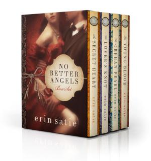 Cover of the book No Better Angels Box Set by Elizabeth Ann West