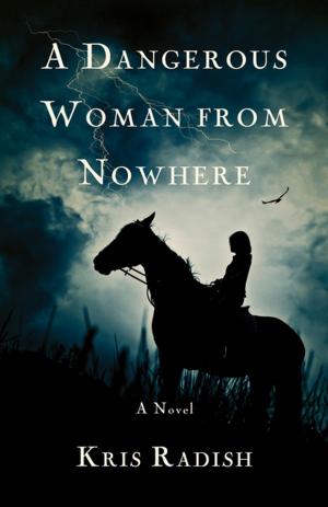 Cover of the book A Dangerous Woman from Nowhere by Kari Bovée