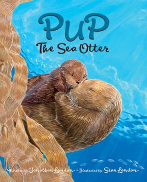 Cover of the book Pup the Sea Otter by Eric A. Kimmel