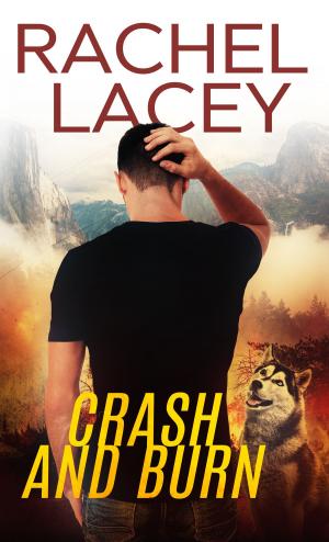 Cover of the book Crash and Burn by Victoria Thompson