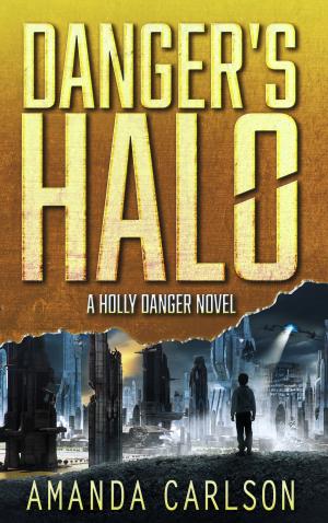 Cover of the book Danger's Halo by James Palmer
