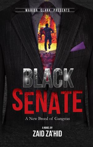 Cover of the book Black Senate by Sereniti Hall