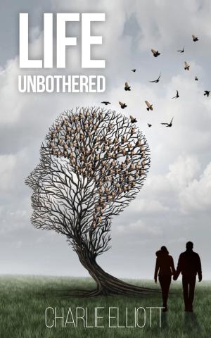 Cover of the book Life Unbothered by Matthew Bernstein