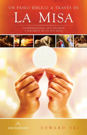 Cover of the book A Biblical Walk Through the Mass by Fr. Jose Antonio Fortea