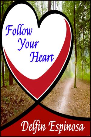Cover of the book Follow Your Heart by Allison Bruning