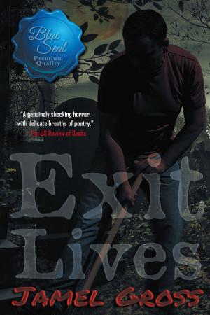 Cover of the book Exit Lives by Phoenix Burk