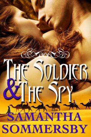 Cover of the book The Soldier & The Spy by Amanda Meredith