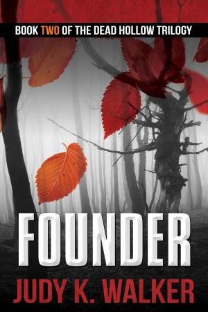Cover of the book Founder by James MacArthur