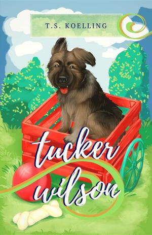 Cover of the book Tucker Wilson by Deepak Gupta