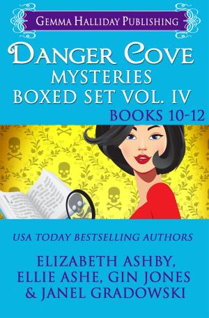 Cover of the book Danger Cove Mysteries Boxed Set Vol. IV (Books 10-12) by Elizabeth Ashby, Gin Jones