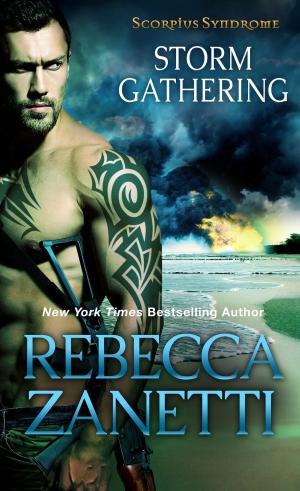bigCover of the book Storm Gathering by 