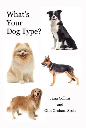Cover of the book What's Your Dog Type by Paul Brakke