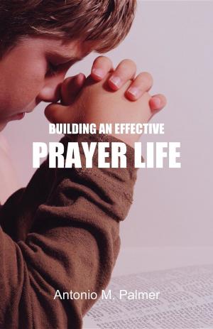 Cover of the book Building an Effective Prayer Life by Anthony Q Knotts