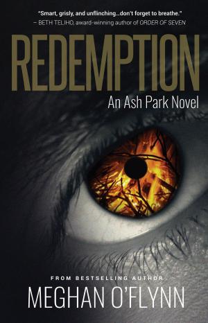 Cover of the book Redemption by Brett Halliday