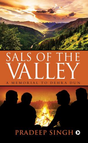 Cover of the book Sals of the Valley by Brajesh Chikharam
