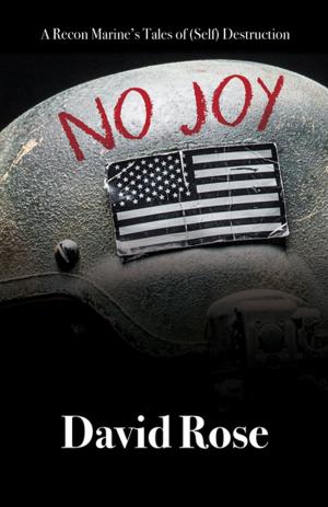 Cover of the book No Joy by J. A. Davis