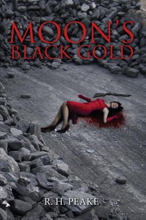 Cover of the book Moon's BLACK GOLD by Robert Shlasko