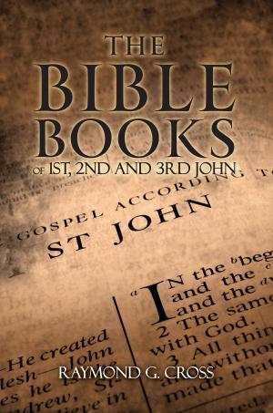 Cover of the book The Bible Books of 1st, 2nd And 3rd John by EDWARD RUETZ