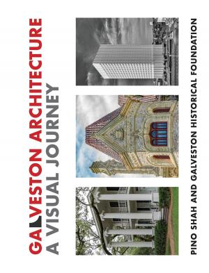 Book cover of Galveston Architecture