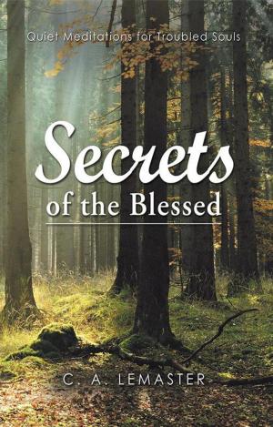 Cover of the book Secrets of the Blessed by L. E. Hall