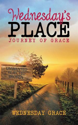 Cover of the book Wednesday’S Place by Peggy Lamb