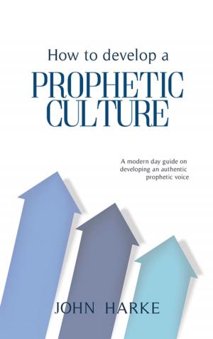 Cover of the book How to Develop a Prophetic Culture by Ardith Nelson