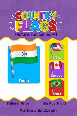 bigCover of the book Country Flags - Picture Fun Series by 