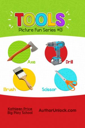Cover of the book Tools - Picture Fun Series by Aditi S.