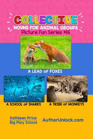 Book cover of Collective Nouns for Animal Groups - Picture Fun Series