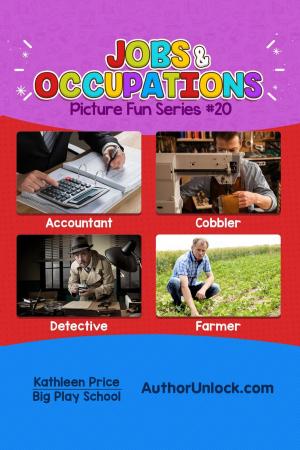 Book cover of Jobs and Occupations - Picture Fun Series