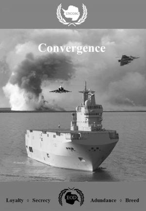 bigCover of the book Convergence by 