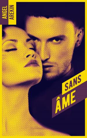 Cover of the book Sans âme by Valentine Stergann
