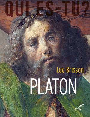 Cover of the book Platon by Anne Lecu