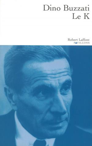Cover of the book Le K by Javier MORO