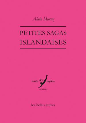 Cover of the book Petites sagas islandaises by Jun Ishikawa, Vincent Portier