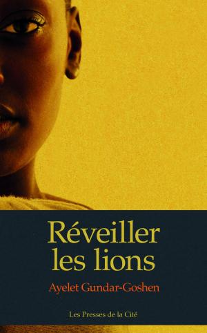 Cover of the book Réveiller les lions by Georges SIMENON