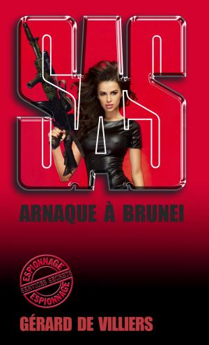 Cover of the book SAS 94 Arnaque à Brunei by Danielle Nicole Bienvenu