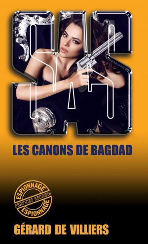 Cover of the book SAS 100 Les canons de Bagdad by Peter Hill