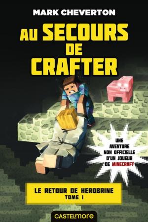 Book cover of Au secours de Crafter