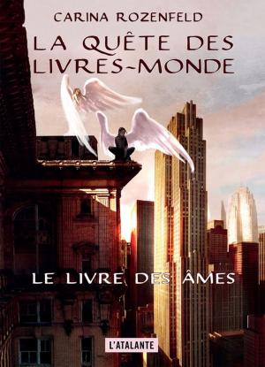 Book cover of Le Livre des Âmes