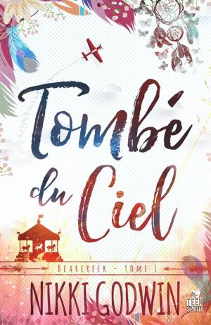 Cover of the book Tombé du ciel by Alzena Summers