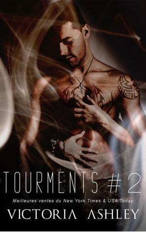 Cover of the book Tourments by JL Merrow