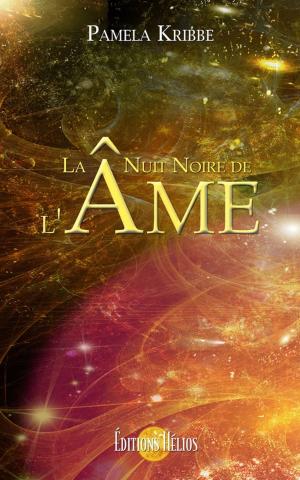 Cover of the book La nuit noire de l'âme by Daniel Gandaï