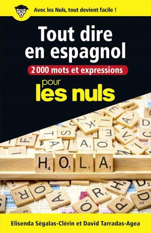 Cover of the book 2000 mots et expressions pour tout dire en espagnol pour les Nuls grand format by David GIBBINS