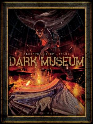 Book cover of Dark Museum T02