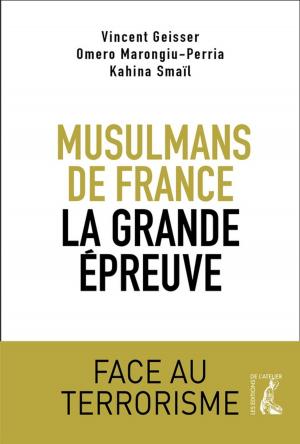 Cover of the book Musulmans de France, la grande épreuve by Daniel Moulinet