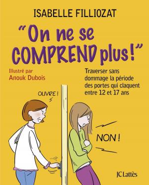 Cover of the book On ne se comprend plus by Monica Sabolo