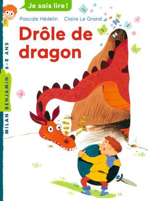 Cover of the book Drôle de dragon by Paul Stewart
