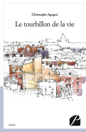 Cover of the book Le tourbillon de la vie by Christophe Agogué